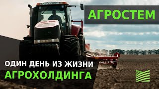 Один день из жизни агрохолдинга: Агростем (Агрейн) | Latifundist