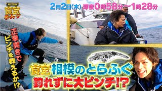 上田くん､相模のとらふぐ釣れずに大ピンチ!?『KAT-TUNの食宝ゲッットゥーン』2/2(木)【過去回はパラビで配信中】