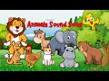 Animal Sound Song A27TH9 | English Nursery Rhyme | FunFusion #animals #animalsounds #kidstv