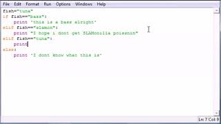 Python Programming Tutorial 21 else and elif