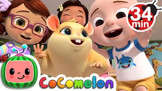 Class Pet Song + More Nursery Rhymes & Kids Songs - CoComelon