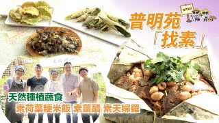 《營男當耕》：普明苑「找素」！天然種植蔬食，即炸成素天婦羅！還有荷葉粳米飯、素薑醋等健康有營素菜…… | 中文字幕