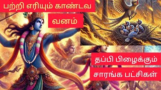 சாரங்க பட்சிகளின் உரையாடல்: Episode 9.