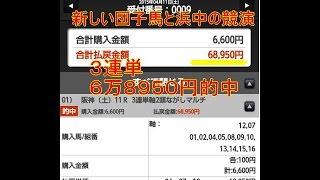 桜花賞予想（週末展望動画　阪神牝馬Ｓ６万８千円馬券的中有）