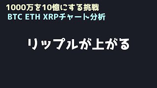 リップルをひたすらホールド｜ビットコイン、イーサリアム、リップルの値動きを解説