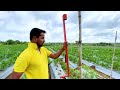 इस सिंपल 500रु. के जुगाड़ से बचाओ 3 लाख रुपये🔥🔥desi jugaad agriculture indian farmer