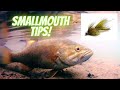 Smallmouth Bass Fly Fishing Tips On The Mad River, OH - The Fly Guy