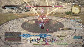 [FF14]エデン共鳴編零式4層木人 詩人 8秒残し