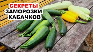 Лучшие способы заморозить кабачки на зиму. СЕКРЕТЫ, как правильно заморозить кабачки (научила всех)