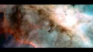 Cynopsis 6/9