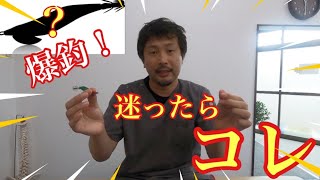 渋い状況でも釣れてくれる優秀なスッテ\u0026ドロッパー紹介！【イカメタル\u0026オモリグ】