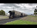 tasrail 2054 2051 46 coal train passing through longford