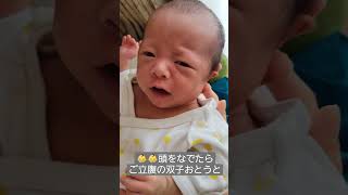 双子生後46日目👶👶頭をなでたらご立腹のふたご弟【33週産まれ：生後1ヶ月