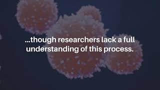 Oncotarget: Alternative RNA Splicing in Pancreatic Cancer