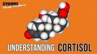 Understanding cortisol (the stress hormone) | Storm Fitness Academy