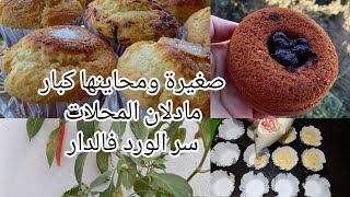 ارواحي صغيرة و محاينها كبار 📣 مادلان المحلات 💯 كيفاه نغرس الورد فالدار