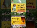 Urdu Quotes Status | A Cat Indicates Wealthy | Ghar Mein Billi Ka Aana #ytshorts #shorts #shortsfeed