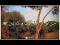 sad poetry status موجود فضیلت بھی کوئی ہے کہ نہیں deep line status best poetry umar shahzad