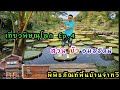 #เที่ยวพิษณุโลก EP.4 # สวนบัวอมรรัตน์ #พิพิธภัณฑ์พื้นบ้านจ่าทวี