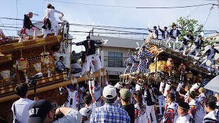 令和5年 西區/茶屋區 練り合わせ 榊山酒店前 本住吉神社 東灘だんじり祭