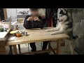 ハスキー犬とトイプードルのクレクレが激しすぎて落ち着いて食べれない飼い主 husky and poodle