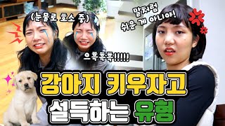 강아지 키우자고 설득하는 유형ㅋㅋㅋㅋㅋ [밍꼬발랄]