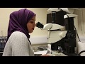 Working in a lab | University of Sussex International Study Centre