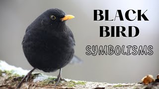 What Does it Mean When You See a Blackbird? BLACKBIRD SYMBOLISM