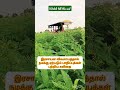 இரசாயன விவசாயத்தால் ஏற்படும் பாதிப்புக்கள் organic farming இயற்கை விவசாயம் கவிதை shorts