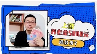 上海养老金调整方案公布，5000养老金的企退人员涨多少？答案来了