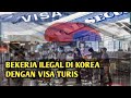 🔴BEKERJA DI KOREA DENGAN VISA TURIS ATAU VISA KUNJUNGAN| TKI KABURAN/ILEGAL