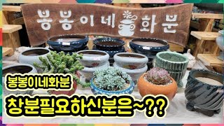 1월3일♡봉봉이네화분♡수제다육화분♡지천공방♡창분♡덤행사입니다 ~