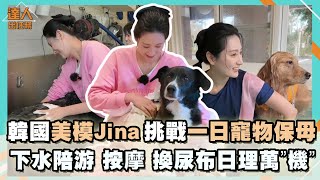 韓國Jina一日寵物保母大挑戰!! 和最辣闆娘 Cher 學習給毛小孩全套服務!!【今天看片了嗎 達人出任務EP3】