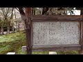 【岐阜県岐阜市　中将姫誓願桜（ちゅうじょうひめせいがんざくら）】　ヤマザクラの変種、これ1本しかない貴重な品種　2023年3月27日（木）　　gifu japan