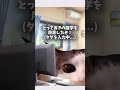 shortsに手を出した底辺youtuberの日常 猫ミーム