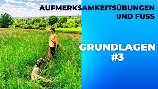 Aufmerksamkeitstraining und Fussarbeit #1 -Grundlagen 3