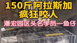 【潘宏爱玩狗】补档：潘宏园区第一位学员—鱼仔