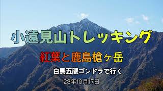 4K 【小遠見山】白馬五竜ゴンドラで行く　小遠見山 トレッキング　紅葉と鹿島槍ヶ岳