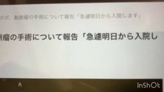 34歳で余命宣告を受けたミミポポ、動脈瘤の手術で緊急入院