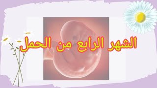 الشهر الرابع من الحمل 🤰 4eme mois de la grossesse 🤰