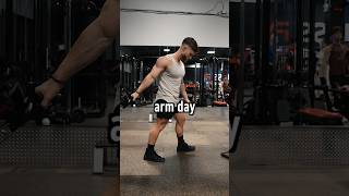 I started adding an arm day to my push/pull/legs routine! Here’s an example of what that looks like.