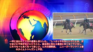 【ＮＨＫマイルＣ】グレナディアガーズ３馬身先着（サンケイスポーツ） - Yahoo!ニュース