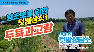 4월 텃밭상담소 - 왕초보상식, 두둑과 고랑, 이랑은 아리랑고개와 상관있다?