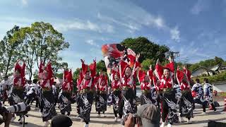 笑舞　犬山踊芸祭 2024　※後半欠けあり