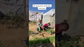 Bir babanın yoklukla imtihanı, Allah yardımcıları olsun…