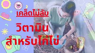 ⚱️💊รีวิววิตามินสำหรับไก่ไข่ ทางเลือกในการเพิ่มผลผลิต 🍳🥚