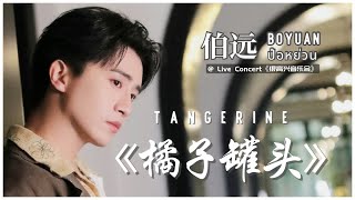 【BoYuan Stage】《橘子罐头》Tangerine - 伯远 (ป๋อหย่วน) @ Live Concert《很高兴音乐会》[09/05/2024]