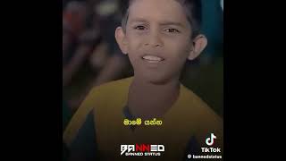 අනේ නිකන් පලයන් මාමෙ යන්න😂