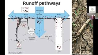 Drainage and Doughnuts Tile Drainage Webinar Series #3