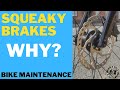 Bike Maintenance Tips: Squeaky Brakes